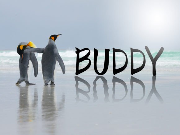 Buddy: The Handwritten Typeface That Elevates Campaign Visuals