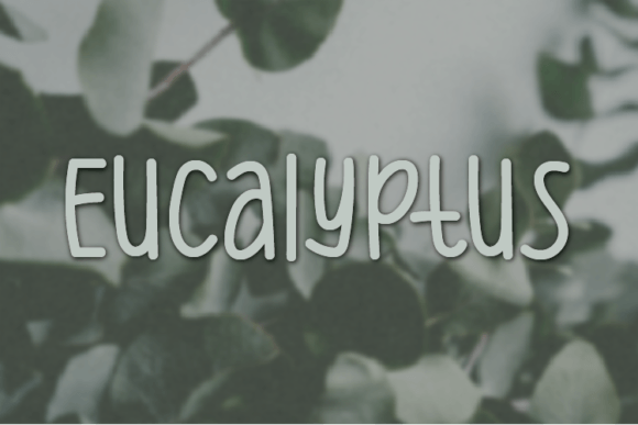 Eucalyptus: The Handwritten Font That Elevates Small Business Branding
