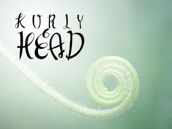 Kurlyhead: The Playful Typeface That Brings Handmade Products to Life