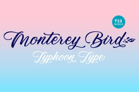 Monterey Bird: A Sweet Script Font for Real Branding Projects