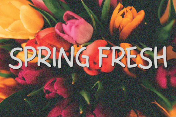 Spring Fresh: The Perfect Typeface to Elevate Your Brand Identity